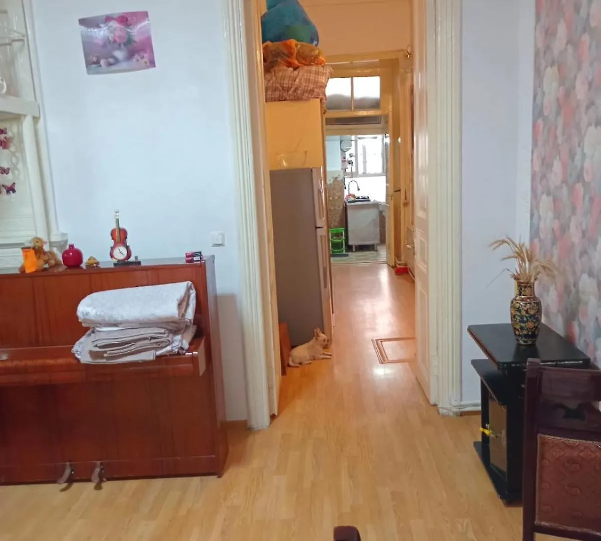 Center Apartment Baku